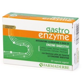 GASTRO ENZYME 30CPS VEGETALI GASTRO ENZYME 30CPS VEGETALI