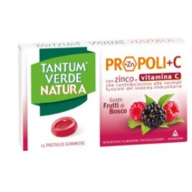 Tantum Verde Natura Frutti di Bosco Integratore Mal di Gola 15 Pastiglie Tantum Verde Natura Frutti di Bosco Integratore Mal di Gola 15 Pastiglie