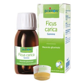 Ficus Carica Integratore 60 ml Ficus Carica Integratore 60 ml