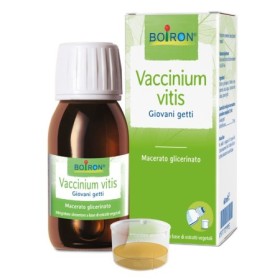 Boiron Vaccinium Vitis Idaea Macerato Glicerinato 60 ml Boiron Vaccinium Vitis Idaea Macerato Glicerinato 60 ml