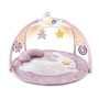 CH GIOCO FD COL PLAYGYM PINK