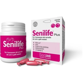 Senilife Plus Integratore per il Benessere del Cervello di Cani e Gatti Anziani 30 Capsule Senilife Plus Integratore per il Benessere del Cervello di Cani e Gatti Anziani 30 Capsule