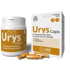 Innovet Urys Caps Integratore Vie Urinarie Cane e Gatto 30 Capsule Birillo Innovet Urys Caps Integratore Vie Urinarie Cane e Gatto 30 Capsule Birillo