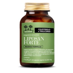 LIPOSAN FORTE NF SALUGEA 60CPS LIPOSAN FORTE NF SALUGEA 60CPS