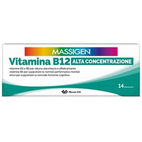 Massigen Dailyvit Vitamina B12 Alta Concentrazione 14 Flaconcini Massigen Dailyvit Vitamina B12 Alta Concentrazione 14 Flaconcini