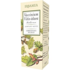VACCINIUM VITIS IDAEA BIO 50ML VACCINIUM VITIS IDAEA BIO 50ML